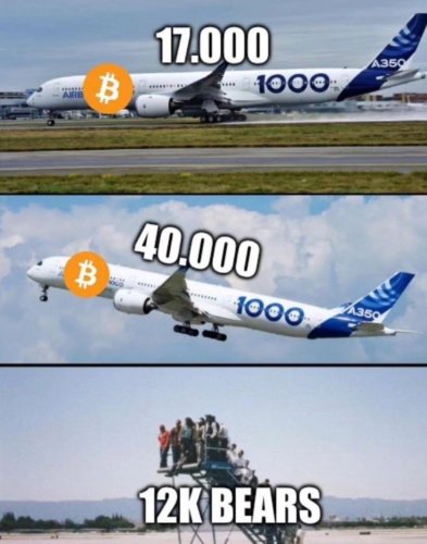 1p80v7tjo14c1.jpg