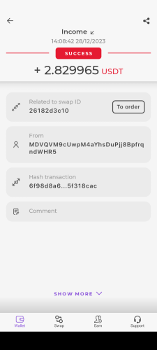 sh_usdt2_28.12.2023.png