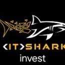 it_shark_invest