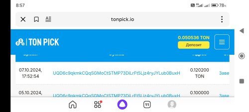 Screenshot_2024-10-08-08-57-48-209_ru.yandex.searchplugin.jpg