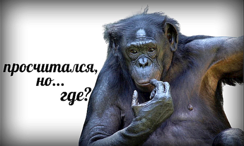 image.thumb.png.3be742aa5808f0382c1e68d578ce2d0c.png