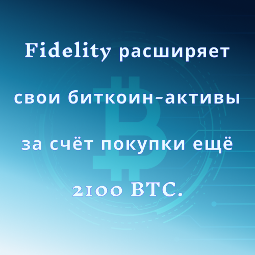 Биток на фоне.png