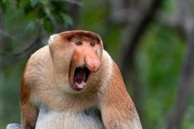 image.jpeg.696df37f77b5cdcedb11d4a289c2a52f.jpeg