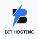 BitHosting