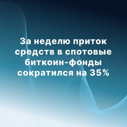 Frame 494.jpg