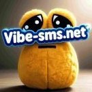 VibeSms