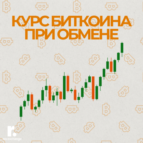 рекс статьи .png