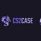 cstwocase