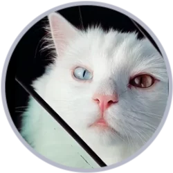 full_f1bDaMQJ.webp.f4f407cd4d7b3fc89511ac5093cb4557.webp