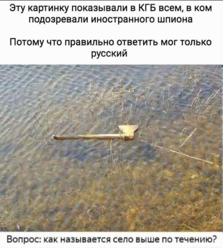 image.thumb.png.3415cc9e494fd7b24f9af64ee8aceedb.png