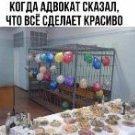 vladyka
