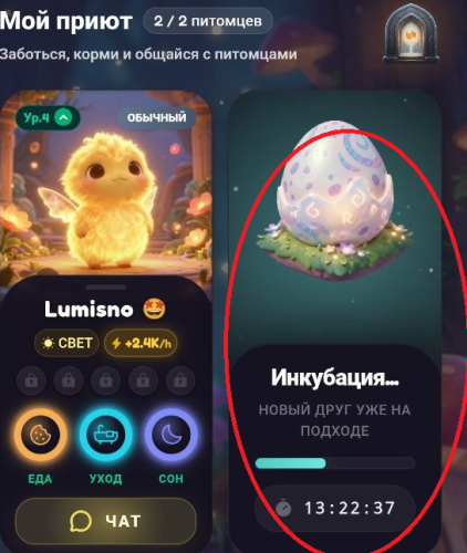 785.png